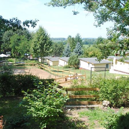 Bungalows Zur Alten Faehre Werder  Szoba fotó