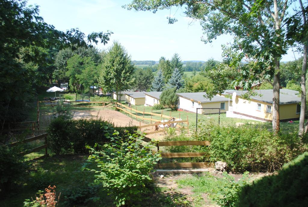 Bungalows Zur Alten Faehre Werder  Szoba fotó