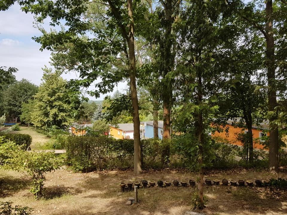 Bungalows Zur Alten Faehre Werder  Kültér fotó